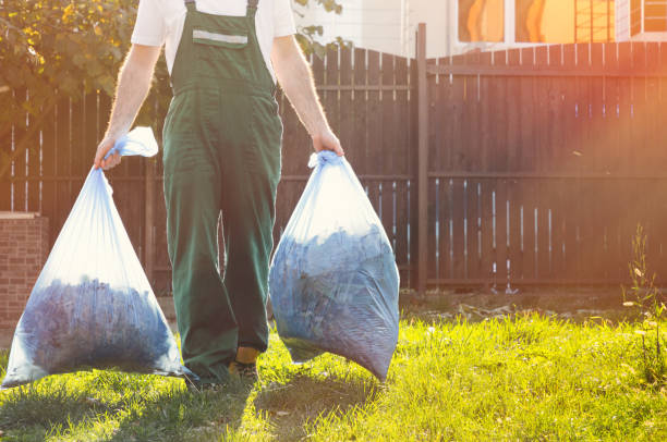 Best Carpet Removal and Disposal  in Holstein, IA