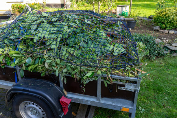Best Mattress Disposal  in Holstein, IA
